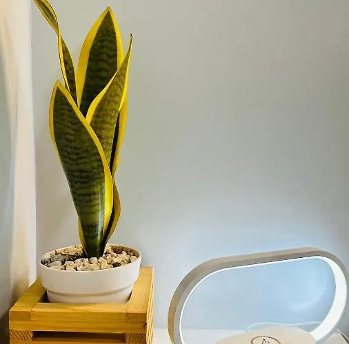 Apartamento Beyond Zurich Staycation